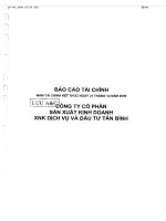 Báo cáo tài chính công ty mẹ năm 2008 (đã kiểm toán) - Công ty cổ phần Sản xuất Kinh doanh Xuất nhập khẩu Dịch vụ và Đầu tư Tân Bình