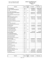 Báo cáo tài chính quý 1 năm 2011 - Công ty cổ phần Phát triển Khu Công nghiệp Tín Nghĩa