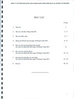 Báo cáo tài chính hợp nhất năm 2013 (đã kiểm toán) - Công ty cổ phần Sản xuất Kinh doanh Xuất nhập khẩu Dịch vụ và Đầu tư Tân Bình