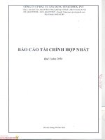 Báo cáo tài chính hợp nhất quý 1 năm 2016 - Công ty Cổ phần Đầu tư Xây dựng Vinaconex - PVC