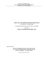 Báo cáo tài chính năm 2009 - Công ty Cổ phần Tập đoàn Sara
