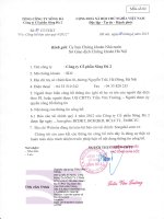 Báo cáo tài chính hợp nhất quý 4 năm 2012 - Công ty Cổ phần Sông Đà 2