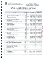 Báo cáo tài chính hợp nhất quý 4 năm 2009 - Tổng công ty Cổ phần Vận tải Dầu khí