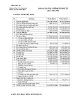 Báo cáo tài chính quý 1 năm 2009 - Công ty Cổ phần Sông Đà 4