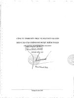 Báo cáo tài chính năm 2014 (đã kiểm toán) - Công ty cổ phần Phục vụ Mặt đất Sài Gòn