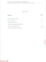 Báo cáo tài chính công ty mẹ quý 1 năm 2016 - Công ty Cổ phần Tập đoàn Đầu tư Thăng Long