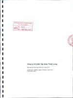 Báo cáo tài chính hợp nhất quý 4 năm 2011 - Công ty Cổ phần Tập đoàn Thiên Long