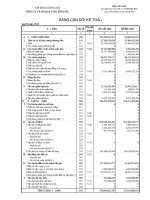 Báo cáo tài chính quý 2 năm 2010 - Công ty Cổ phần Đầu tư Xây dựng và Phát triển Đô thị Sông Đà