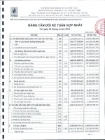 Báo cáo tài chính hợp nhất quý 2 năm 2010 - Tổng công ty Cổ phần Vận tải Dầu khí