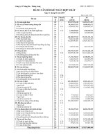 Báo cáo tài chính hợp nhất quý 1 năm 2009 - Công ty cổ phần Sông Đà - Thăng Long