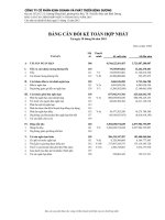 Báo cáo tài chính hợp nhất quý 2 năm 2015 - Công ty Cổ phần Kinh doanh và Phát triển Bình Dương