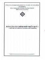 Báo cáo tài chính hợp nhất quý 1 năm 2016 - Công ty cổ phần Sản xuất Kinh doanh Xuất nhập khẩu Dịch vụ và Đầu tư Tân Bình
