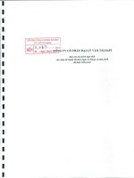 Báo cáo tài chính hợp nhất năm 2010 (đã kiểm toán) - Công ty Cổ phần Đại lý Vận tải SAFI