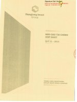 Báo cáo tài chính hợp nhất quý 2 năm 2013 - Công ty Cổ phần Tập đoàn Đầu tư Thăng Long