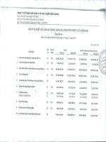 Báo cáo KQKD quý 2 năm 2010 - Công ty Cổ phần Kinh doanh và Phát triển Bình Dương