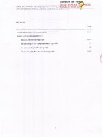 Báo cáo tài chính hợp nhất quý 4 năm 2012 - Công ty Cổ phần Tập đoàn Đầu tư Thăng Long