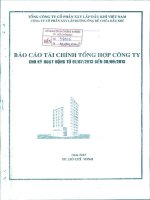 Báo cáo tài chính quý 3 năm 2013 - Công ty Cổ phần Xây lắp Đường ống Bể chứa Dầu khí