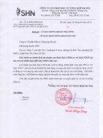 Báo cáo tài chính hợp nhất quý 1 năm 2016 - Công ty Cổ phần Đầu tư Tổng hợp Hà Nội