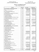 Báo cáo tài chính quý 2 năm 2011 - Công ty Cổ phần Simco Sông Đà