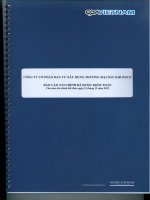 Báo cáo tài chính năm 2012 (đã kiểm toán) - Công ty cổ phần Đầu tư Xây dựng Thương mại Dầu khí-IDICO