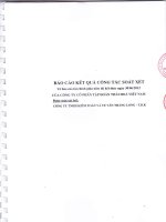 Báo cáo tài chính công ty mẹ quý 2 năm 2012 (đã soát xét) - Công ty Cổ phần Tập đoàn Thái Hòa Việt Nam