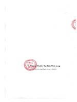 Báo cáo tài chính công ty mẹ quý 1 năm 2011 - Công ty Cổ phần Tập đoàn Thiên Long