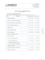 Báo cáo tài chính quý 3 năm 2009 - Công ty Cổ phần Kỹ Nghệ Lạnh