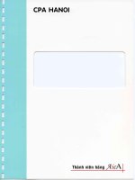 Báo cáo tài chính hợp nhất năm 2009 (đã kiểm toán) - Công ty Cổ phần Xây dựng số 5