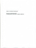 Báo cáo tài chính hợp nhất năm 2010 (đã kiểm toán) - Công ty Cổ phần Kỹ Nghệ Lạnh