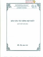 Báo cáo tài chính hợp nhất quý 3 năm 2012 - Công ty Cổ phần Xây dựng hạ tầng Sông Đà