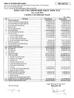 Báo cáo tài chính hợp nhất quý 4 năm 2009 - Công ty Cổ phần Siêu Thanh
