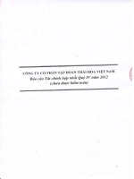 Báo cáo tài chính hợp nhất quý 4 năm 2012 - Công ty Cổ phần Tập đoàn Thái Hòa Việt Nam