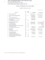 Báo cáo tài chính hợp nhất quý 2 năm 2010 - Công ty Cổ phần Kinh doanh và Phát triển Bình Dương