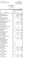 Báo cáo tài chính công ty mẹ năm 2008 (đã kiểm toán) - Công ty Cổ phần Xuất nhập khẩu Sa Giang