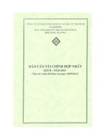 Báo cáo tài chính hợp nhất quý 2 năm 2013 - Công ty cổ phần Sản xuất Kinh doanh Xuất nhập khẩu Dịch vụ và Đầu tư Tân Bình