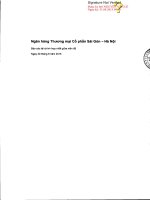 Báo cáo tài chính hợp nhất quý 2 năm 2015 (đã soát xét) - Ngân hàng Thương mại cổ phần Sài Gòn - Hà Nội