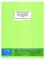 Báo cáo tài chính năm 2008 (đã kiểm toán) - CTCP Đầu tư Xây dựng và Phát triển Hạ tầng Viễn thông