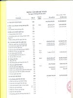 Báo cáo tài chính quý 3 năm 2015 - Công ty cổ phần Dầu thực vật Sài Gòn