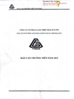 Báo cáo thường niên năm 2015 - Công ty cổ phần Gang thép Thái Nguyên