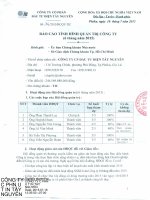 Báo cáo tình hình quản trị công ty - Công ty Cổ phần Đầu tư Điện Tây Nguyên