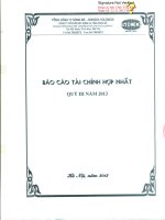 Báo cáo tài chính hợp nhất quý 3 năm 2013 - Công ty Cổ phần Xây dựng hạ tầng Sông Đà