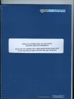 Báo cáo tài chính quý 2 năm 2013 (đã soát xét) - Công ty cổ phần Đầu tư Xây dựng Thương mại Dầu khí-IDICO