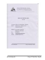 Báo cáo thường niên năm 2014 - Công ty cổ phần Thanh Hoa - Sông Đà