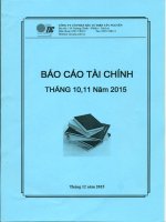 Báo cáo tài chính 11 tháng đầu năm 2015 - Công ty Cổ phần Đầu tư Điện Tây Nguyên