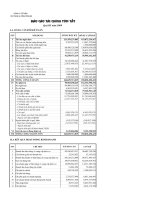 Báo cáo tài chính quý 3 năm 2009 - Công ty Cổ phần Xây dựng hạ tầng Sông Đà