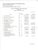 Báo cáo tài chính quý 4 năm 2010 - Công ty Cổ phần Kinh doanh và Phát triển Bình Dương