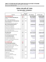 Báo cáo tài chính hợp nhất quý 2 năm 2011 - Công ty cổ phần Sản xuất Kinh doanh Xuất nhập khẩu Dịch vụ và Đầu tư Tân Bình