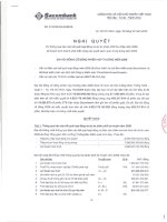 Nghị quyết đại hội cổ đông ngày 16-03-2009 - Ngân hàng Thương mại Cổ phần Sài Gòn Thương Tín