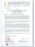 Báo cáo tài chính hợp nhất quý 2 năm 2009 (đã soát xét) - Công ty Cổ phần TIE