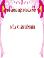 Bài giảng điện tử đề tài Mùa xuân đến rồi